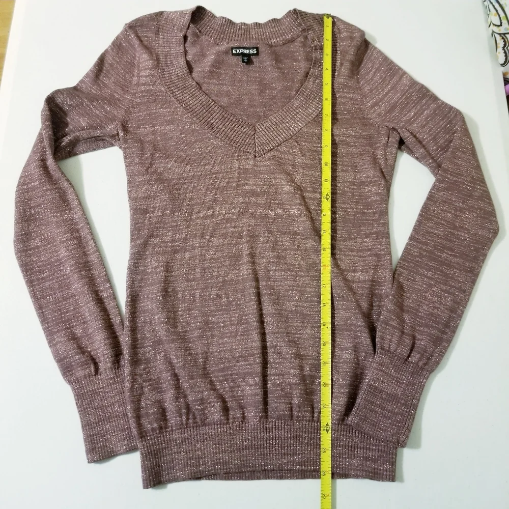 Express Pink Mauve Shimmer Vneck Longsleeve Banded Blouse Medium